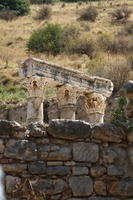 IMG 0224rid