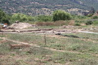 IMG 0358rid
