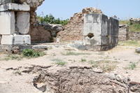 IMG 0369rid