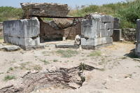 IMG 0374rid