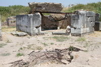 IMG 0375rid