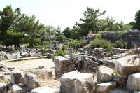 IMG 0400rid