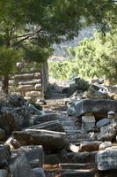 IMG 0510rid