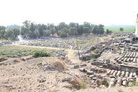 IMG 0591rid