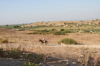 IMG 0601rid