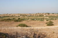IMG 0602rid