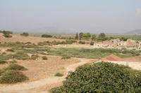 IMG 0608rid
