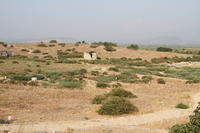 IMG 0609rid