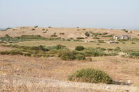 IMG 0611rid