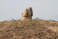IMG 1346rid