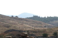IMG 1378rid