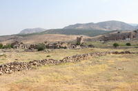 IMG 1484rid