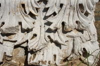 IMG 1651rid