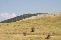 IMG 1720rid