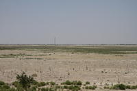 IMG 1940rid