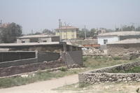 IMG 1948rid