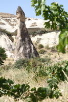 IMG 2448rid