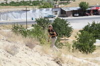 IMG 2481rid