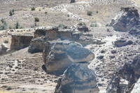 IMG 2513rid