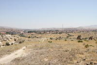 IMG 2518rid