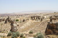 IMG 2552rid