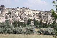 IMG 2580rid