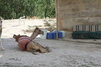 IMG 2751rid