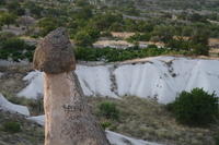 IMG 2876rid