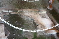 IMG 3281rid