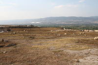 IMG 1203rid
