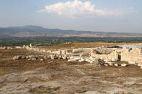 IMG 1208rid