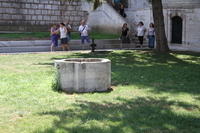 IMG 3935rid