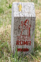 Via Francigena: da Montefiascone a Viterbo. Pellegrinaggio dei catechisti di Roma
