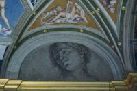 Raffaello Villa Farnesina 003