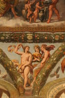 Raffaello Villa Farnesina 026