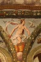 Raffaello Villa Farnesina 027