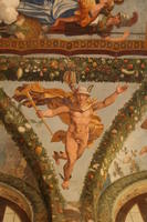 Raffaello Villa Farnesina 029