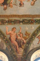 Raffaello Villa Farnesina 031