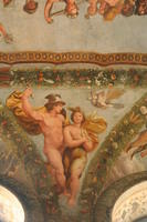 Raffaello Villa Farnesina 033