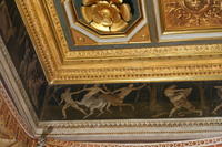Raffaello Villa Farnesina 039