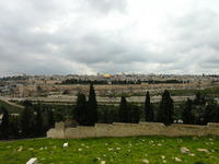 Panorama su Gerusalemme dal Monte degli Ulivi
