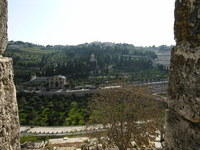 La Basilica del Getsemani