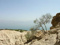 Panorama sul Mar Morto dal Parco di Ein Ghedi
