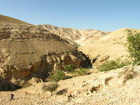 Wadi Qelt