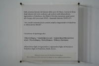 Pannello esplicativo con i nomi dei tre scultori del gruppo di Scilla (gli stessi del Laocoonte)