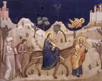 La fuga in Egitto (Giotto)