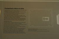 Crypta Balbi 077.JPG
