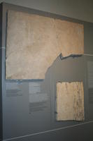 Crypta Balbi Alto Medioevo a Roma 067.jpg