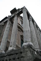 Tempio di Antonino e Faustina, trasformato nella Chiesa di S.Lorenzo de' Speziali in Miranda