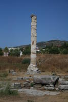 Efeso: resto del tempio di Artemide (Artémision)